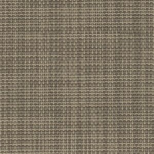 AVD Color 5 - Greystone