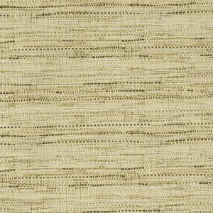 Tapestry Color 2 - Brazil Nut (10' non-OF)